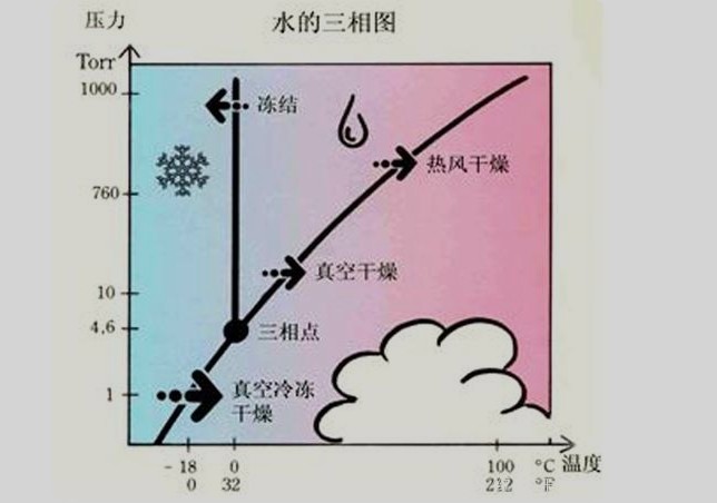 冷凍干燥機要多久才可以凍干一批物料？