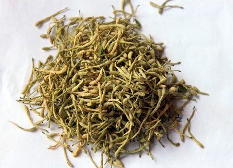 金銀花凍干機,藥材真空冷凍干燥的效果案例
